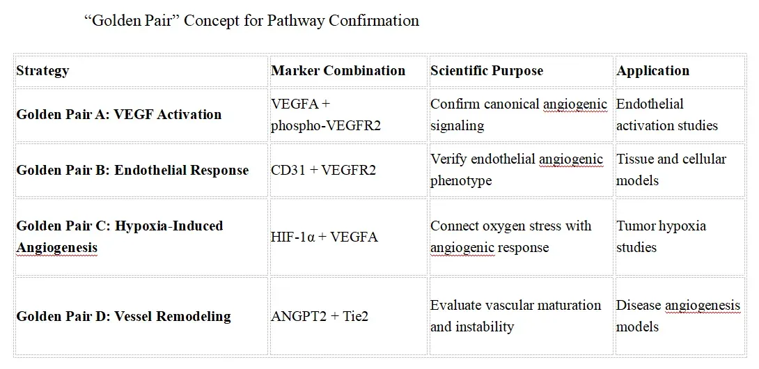 Angiogenesis Signaling Research Solutions-core.webp