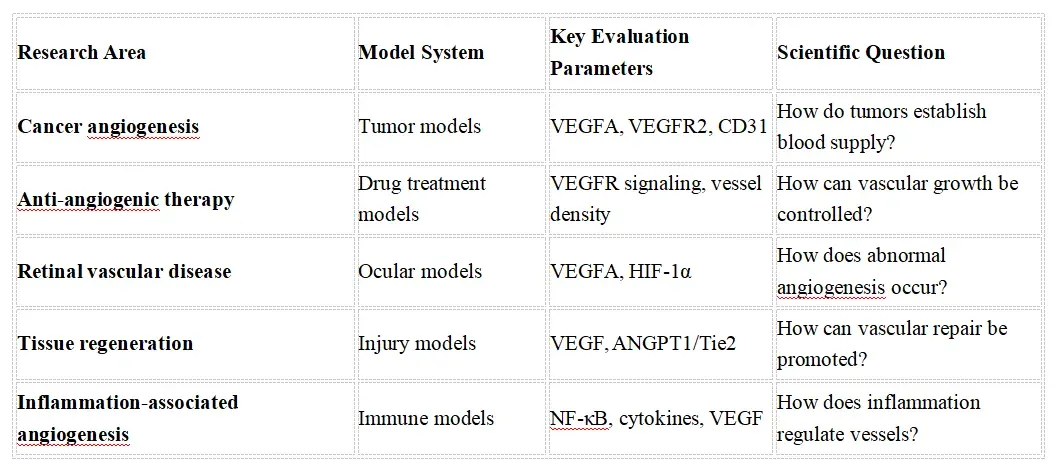Angiogenesis Signaling Research Solutions-fea.webp