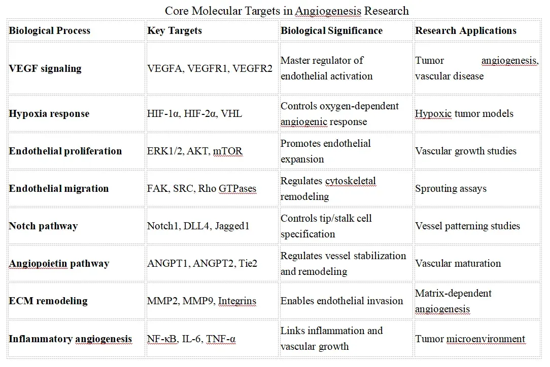 Angiogenesis Signaling Research Solutions-key.webp