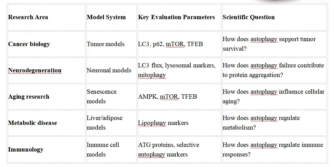 Autophagy Signaling Research Solutions-fea.webp