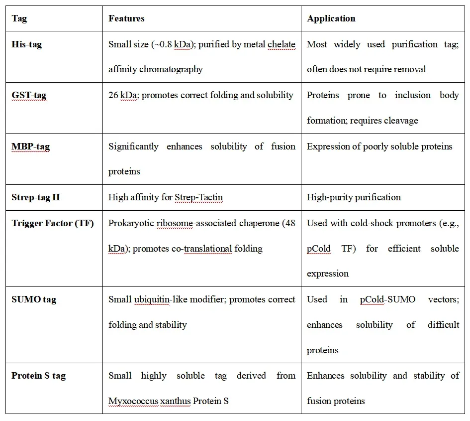 Classification of Expression Vectors3.webp