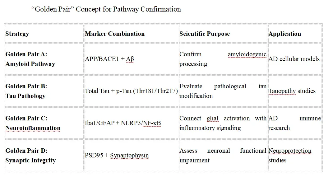 Core AD Validation Strategy.webp