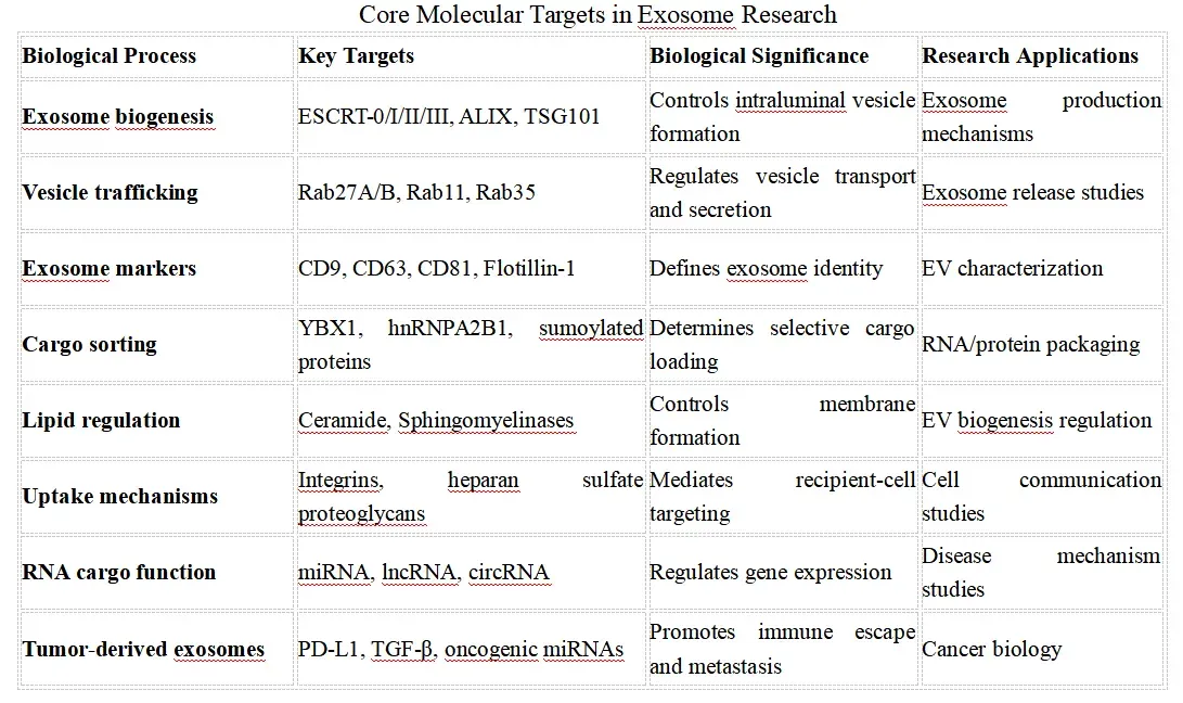 Core Molecular Targets in Exosome Research.webp