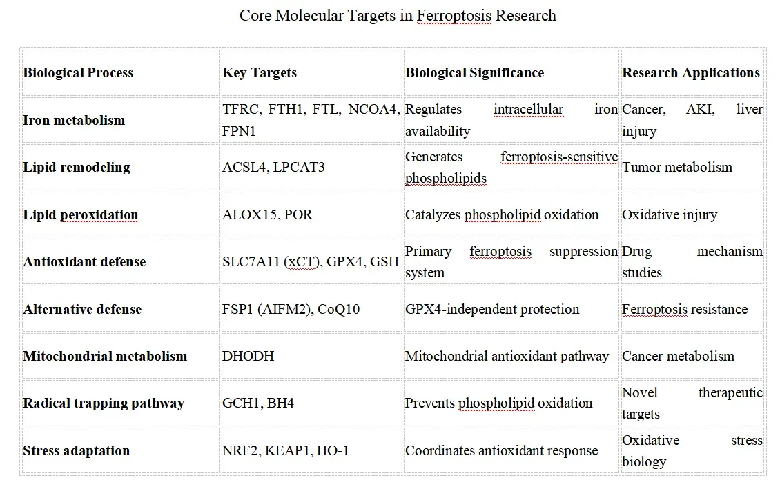 Core Molecular Targets in Ferroptosis Research.webp