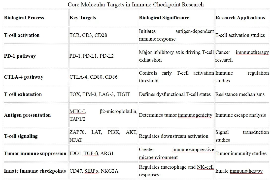Core Molecular Targets in Immune Checkpoint Research.webp