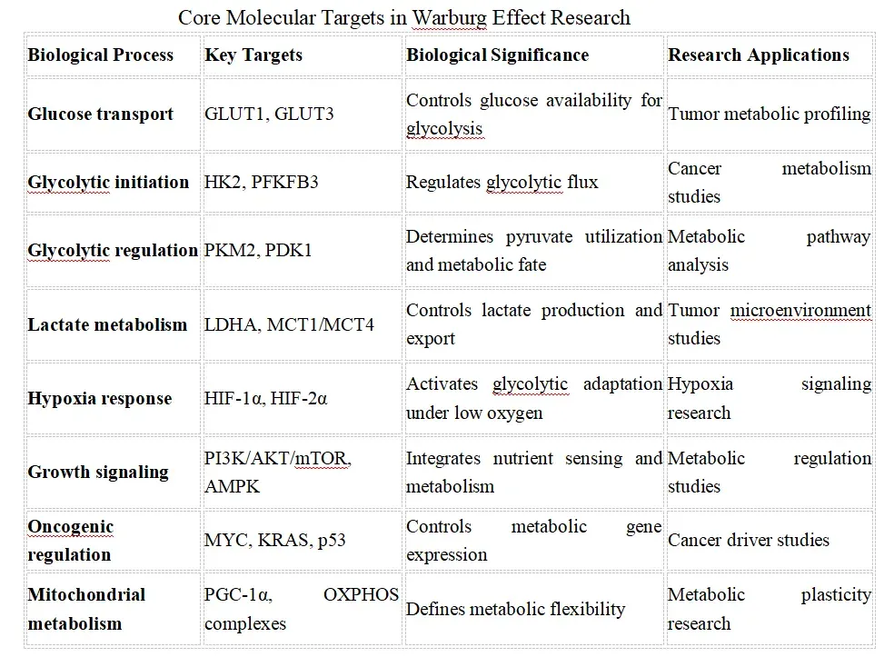 Core Molecular Targets in Warburg Effect Research.webp