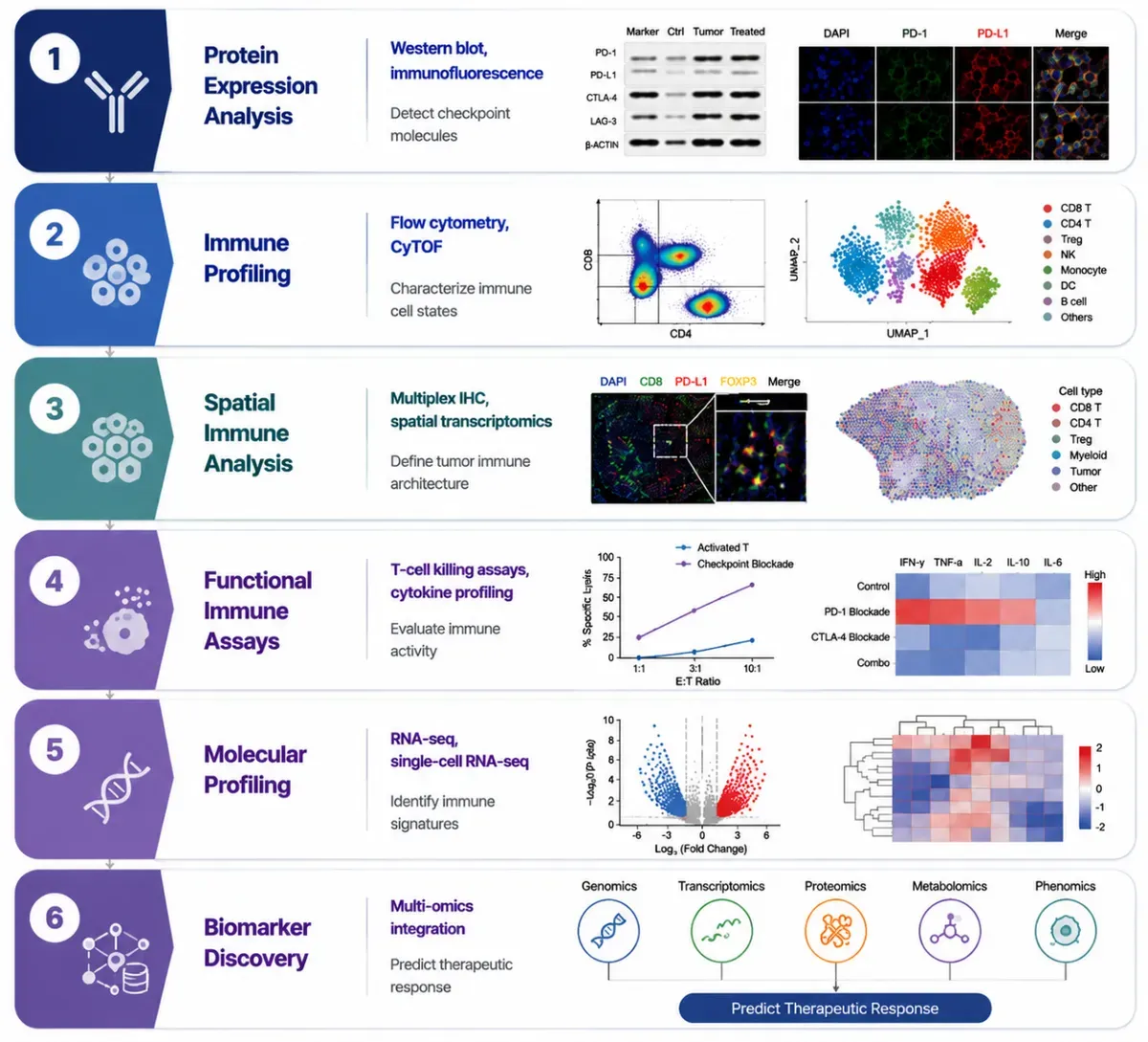 Immune Checkpoint Research Workflow.webp