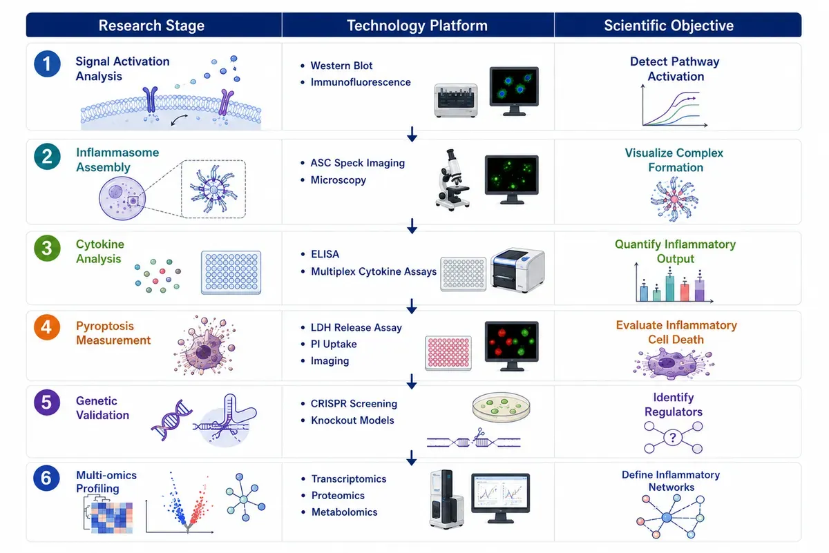 Inflammasome Signaling Research Solutions-comp.webp