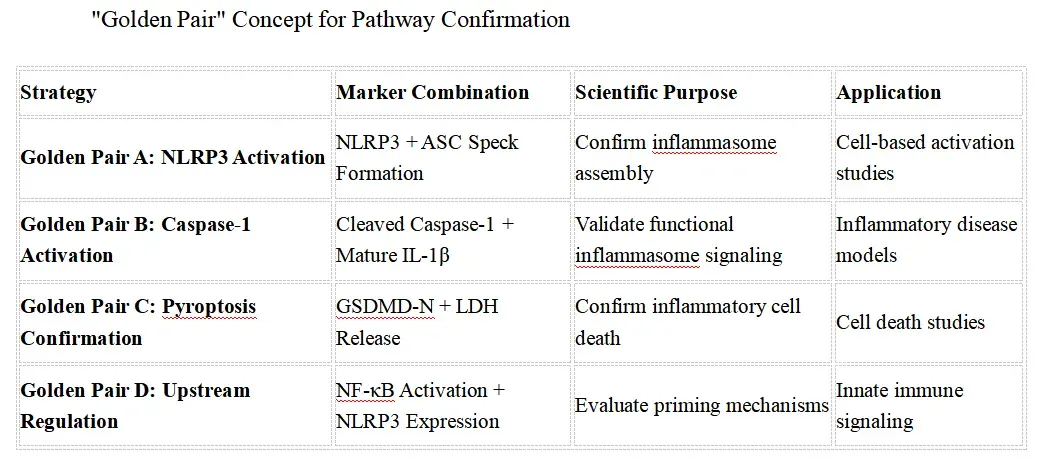 Inflammasome Signaling Research Solutions-core.webp