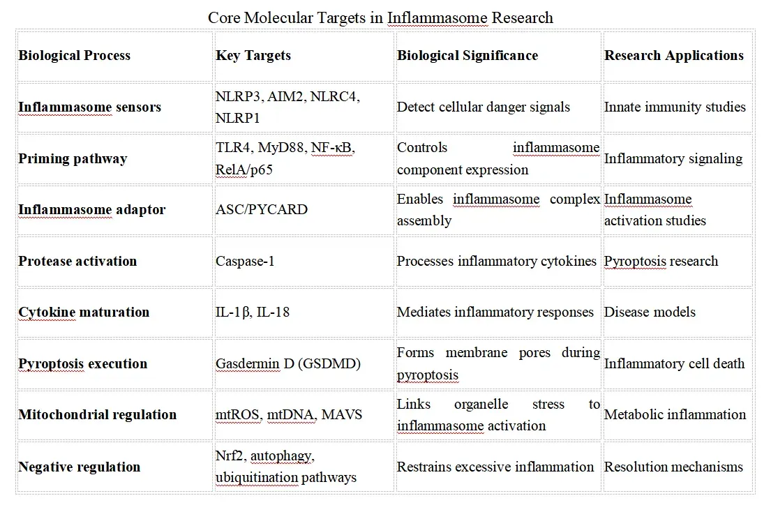 Inflammasome Signaling Research Solutions-key.webp
