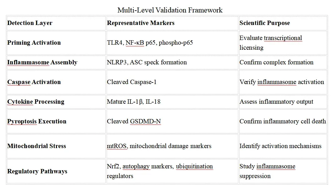 Inflammasome Signaling Research Solutions-recom1.webp