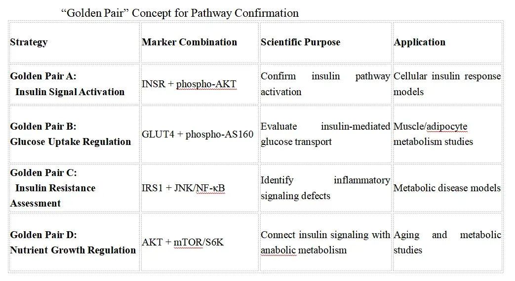 Insulin Signaling Research Solutions-core.webp