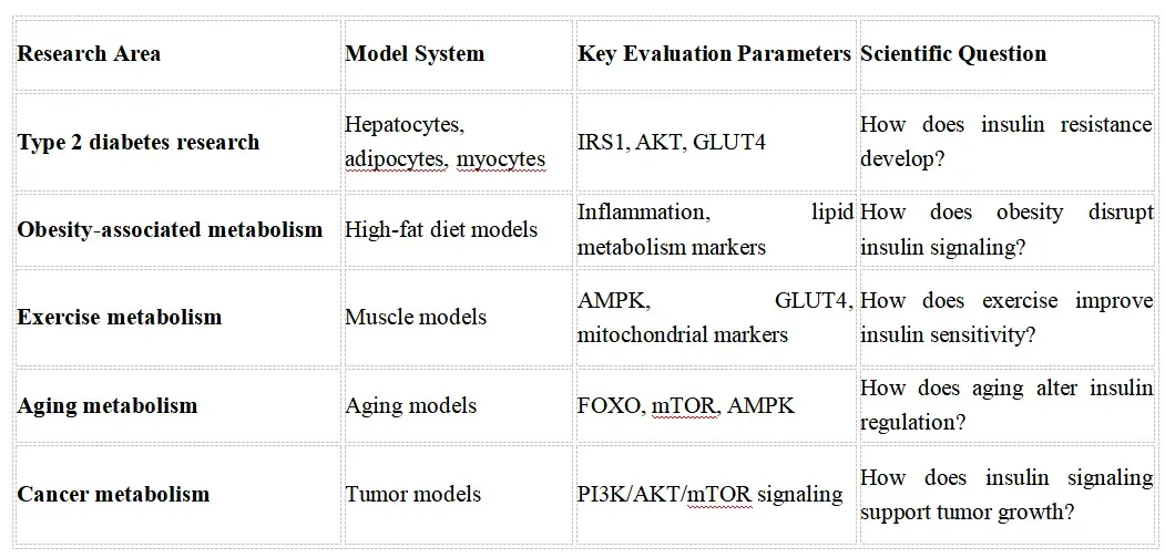 Insulin Signaling Research Solutions-fea.webp