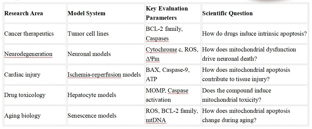 Mitochondrial Apoptosis Research Solutions-feat.webp