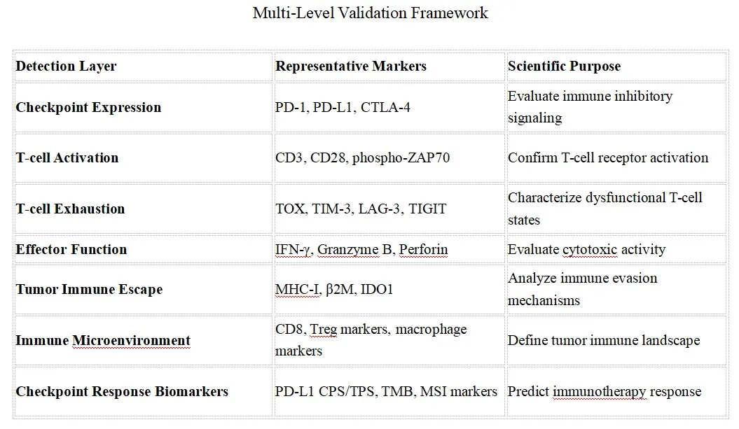 Multi-Level Validation Framework.webp