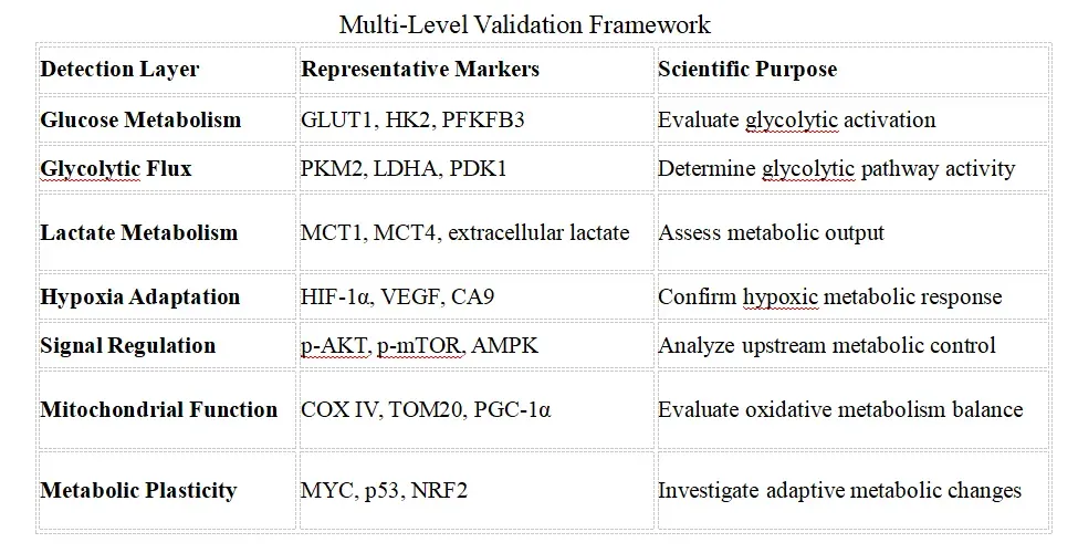 Multi-Level Validation Framework.webp