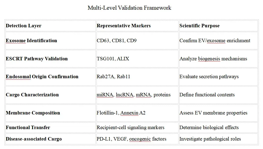 Multi-Level Validation Framework.webp