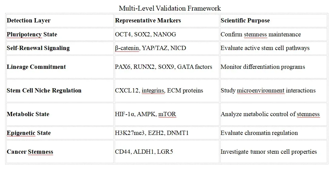 Multi-Level Validation Framework.webp