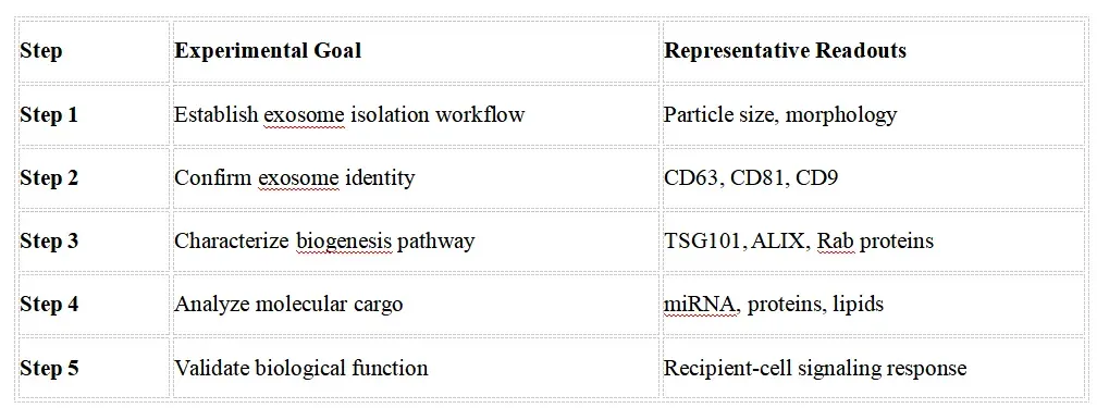 Recommended Experimental Validation Workflow1.webp