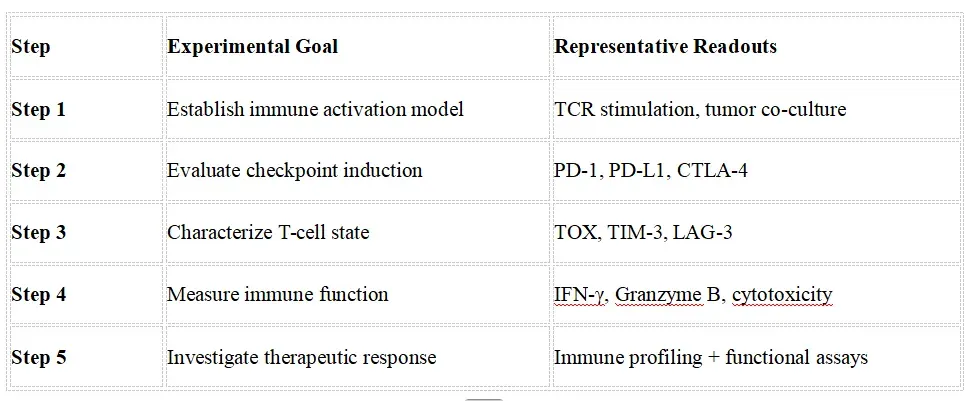 Recommended Experimental Validation Workflow1.webp