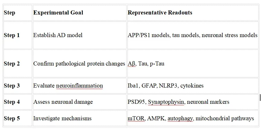 Recommended Experimental Validation Workflow.webp