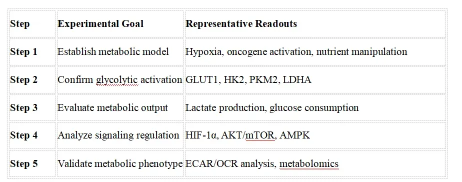 Recommended Experimental Validation Workflow.webp