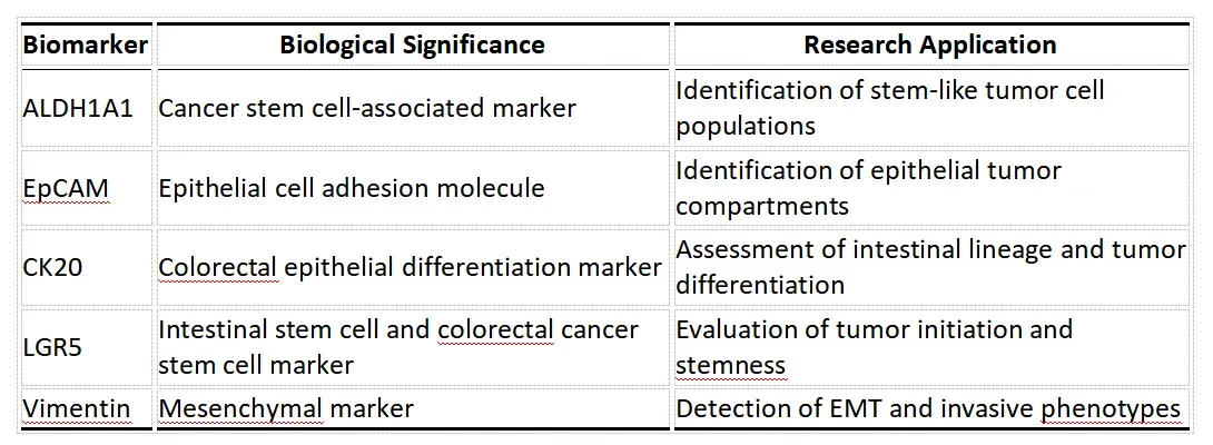 Recommended Marker Combination1.webp