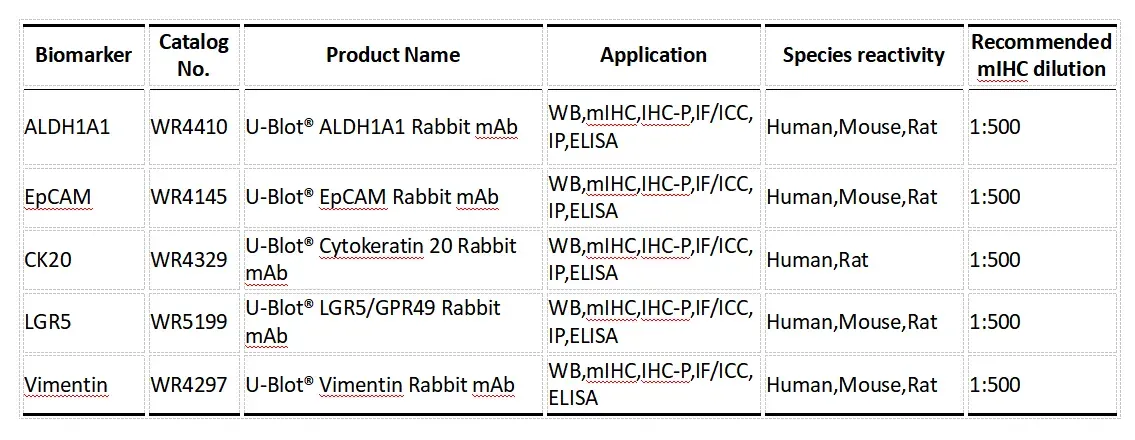 Recommended Primary Antibody Panel3.webp