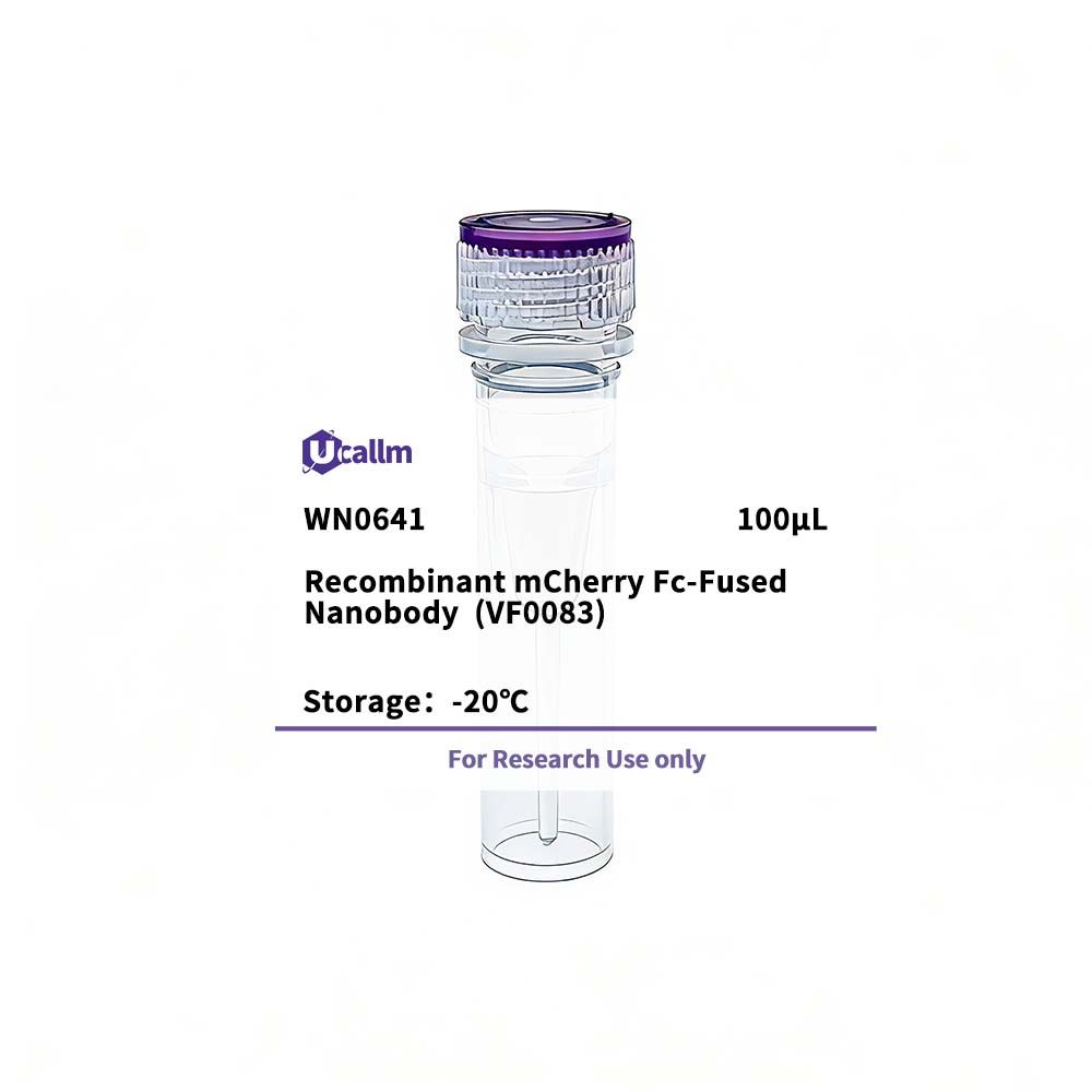 U-Blot® Recombinant mCherry (VF0083) Fc-Fused Nanobody