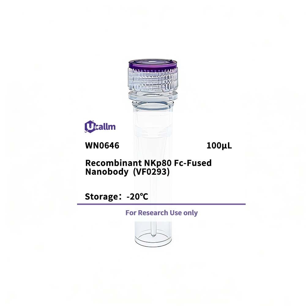 U-Blot® Recombinant NKp80 (VF0264) Fc-Fused Nanobody