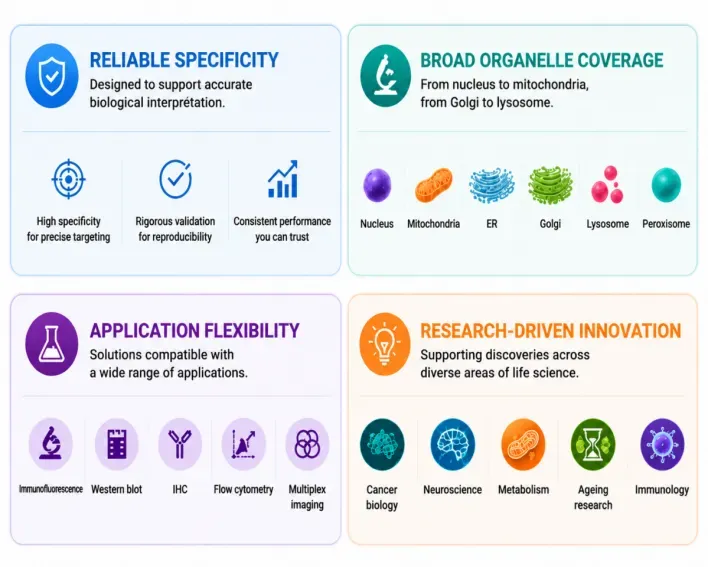 ER research focus and key applications