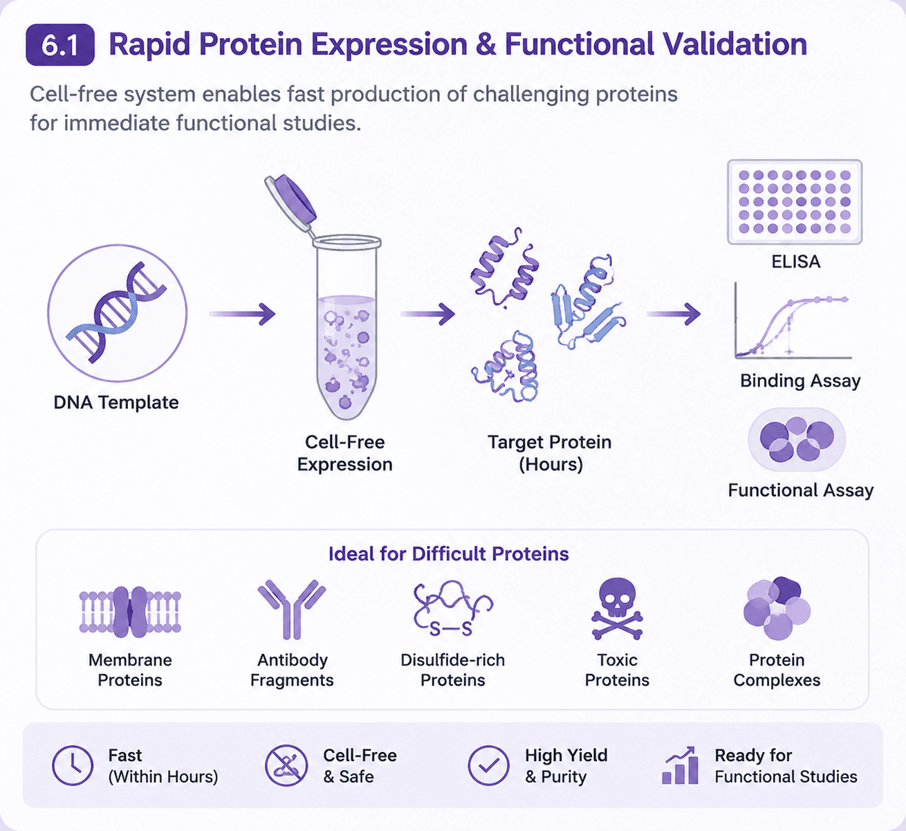 Rapid Protein Expression & Functional Validation