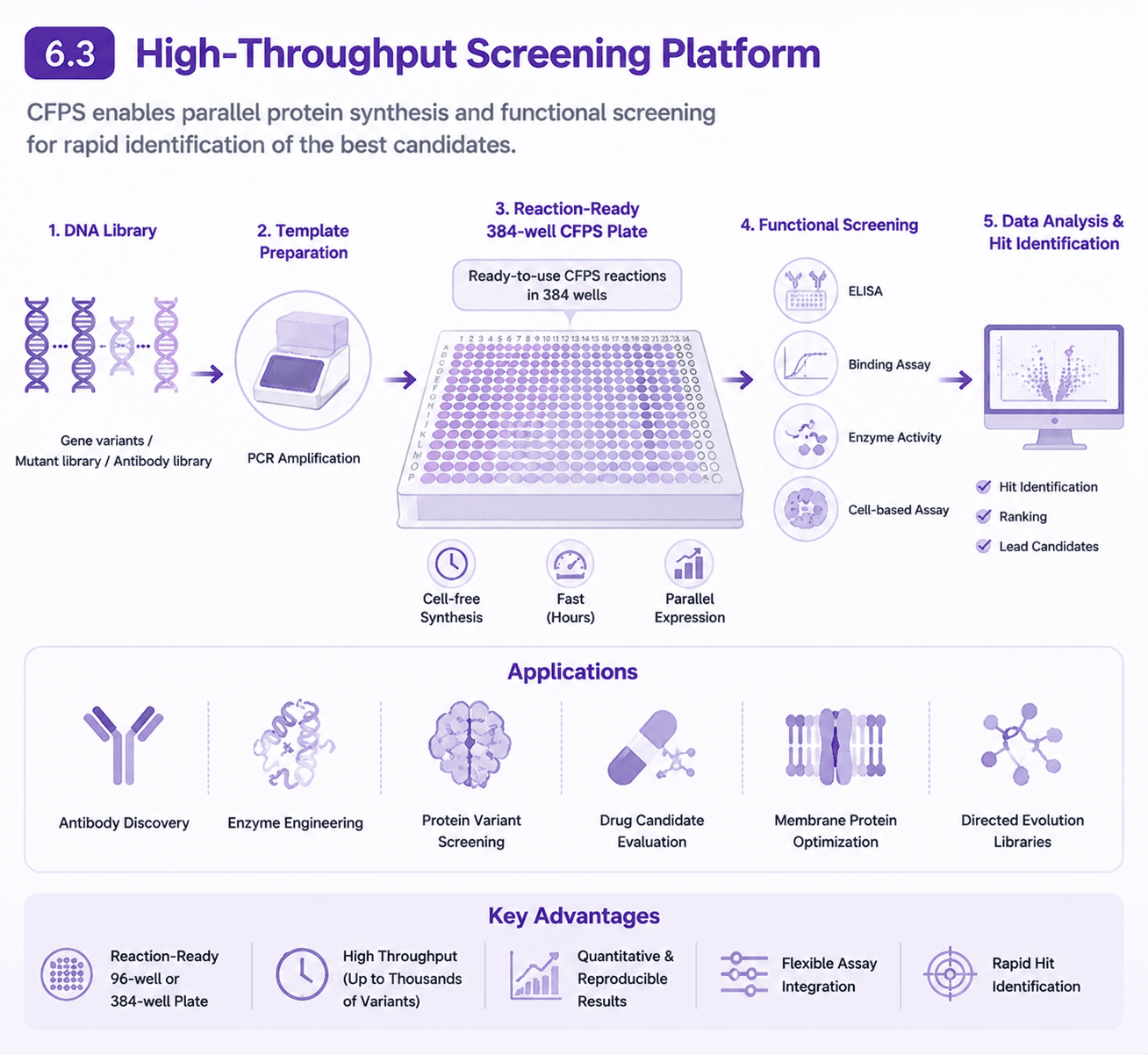 High‑Throughput Screening Platform