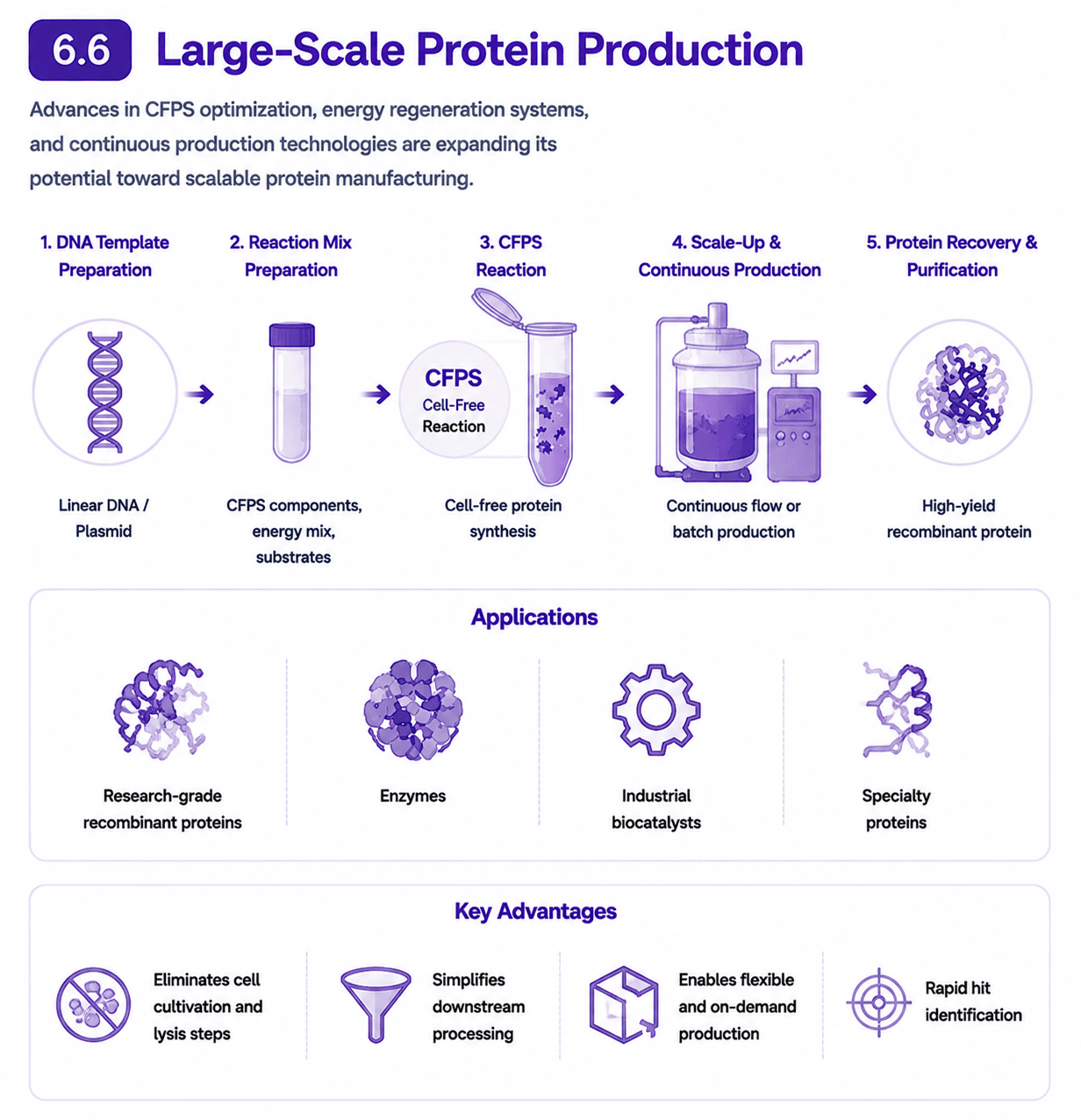 Large‑Scale Protein Production