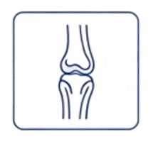 Osteogenic/Chondrogenic Lineage