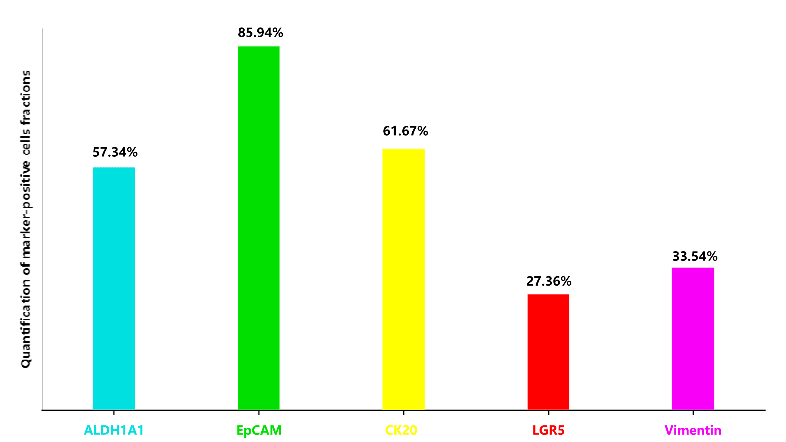 Figure3 Quantification of marker‑positive cells fractions